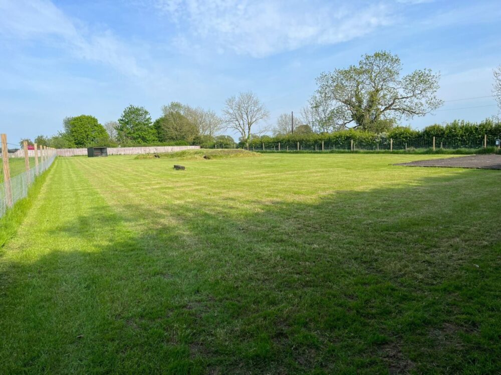 willow farm paddock