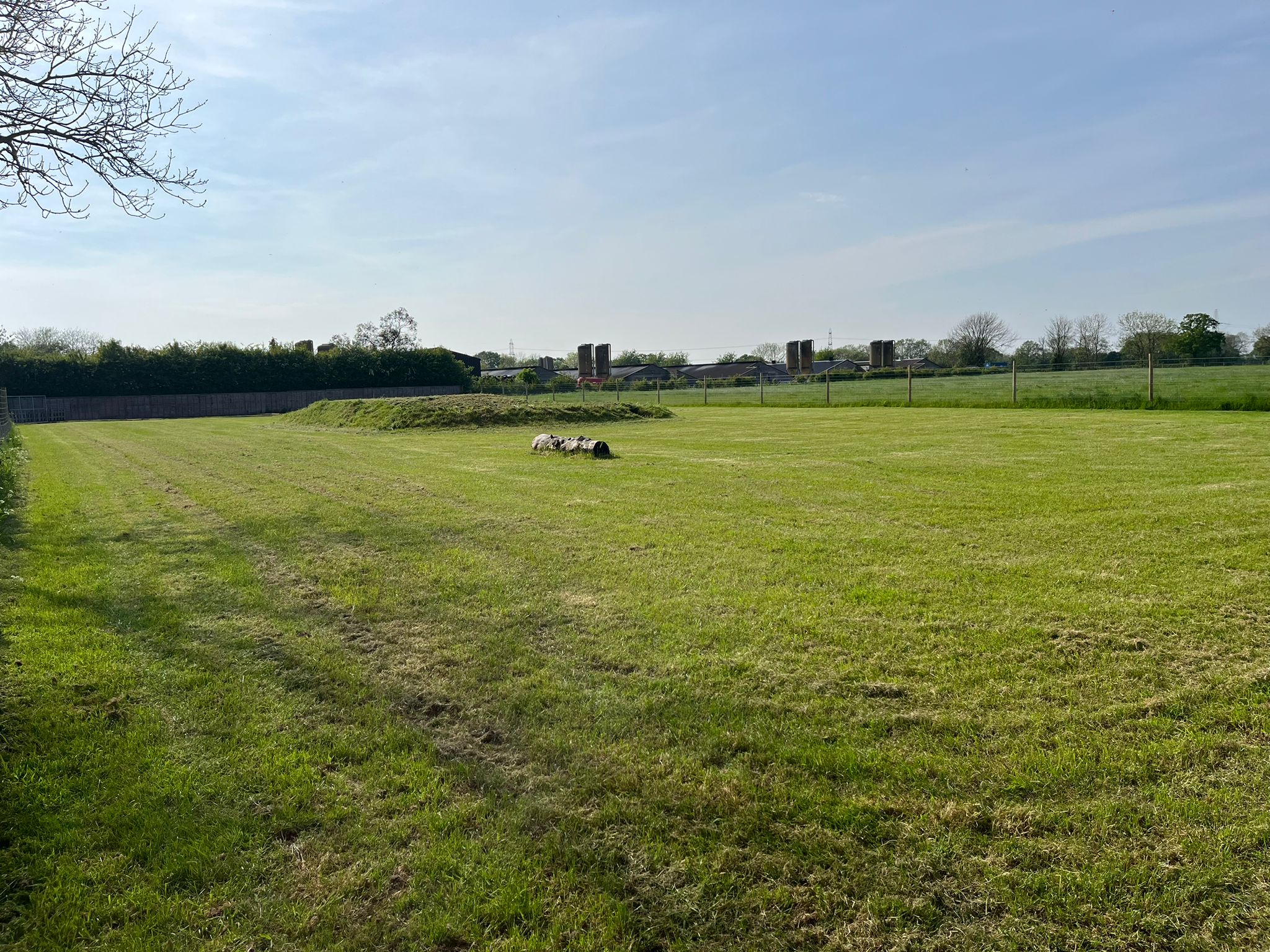 willow farm paddock